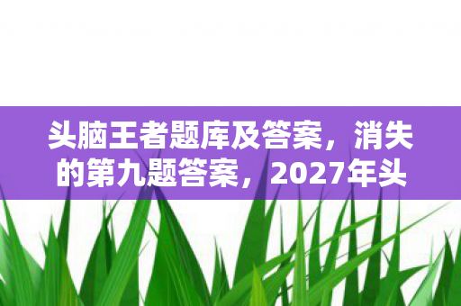 2027年头脑王者悬案图片