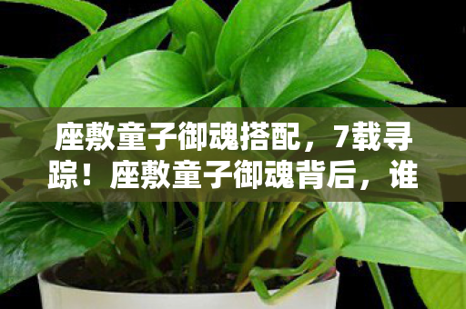 谁在为这虚拟羁绊暗自神伤图片