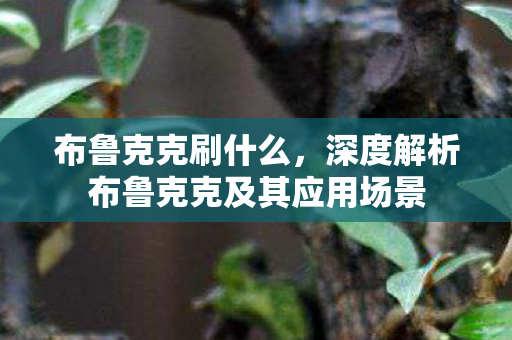 布鲁克克刷什么，深度解析布鲁克克及其应用场景