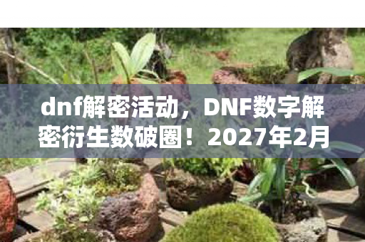 2027年2月9日惊现意想不到的周边狂潮图片