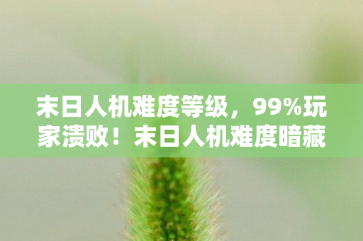 末日人机难度暗藏99图片