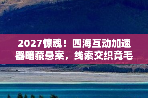 四海互动加速器暗藏悬案图片