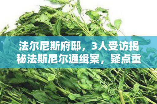 3人受访揭秘法斯尼尔通缉案图片