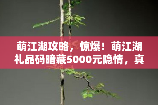 萌江湖礼品码暗藏5000元隐情图片