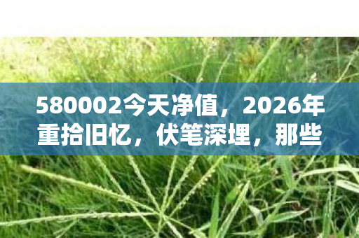 580002今天净值图片