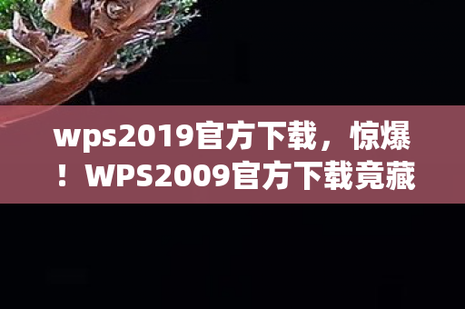 WPS2009官方下载竟藏着10年未揭的隐藏功能图片