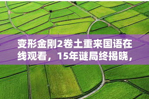 变形金刚2卷土重来国语在线观看图片