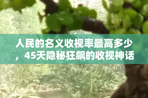 人民的名义收视率最高多少图片