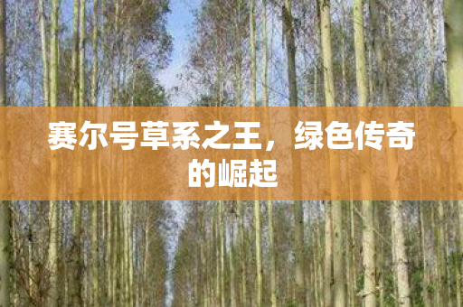 赛尔号草系之王,绿色传奇的崛起 赛尔号草系之王,绿色传奇的崛起
