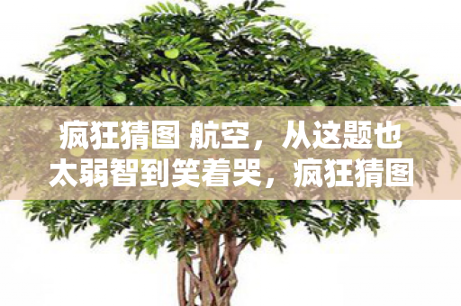 从这题也太弱智到笑着哭图片