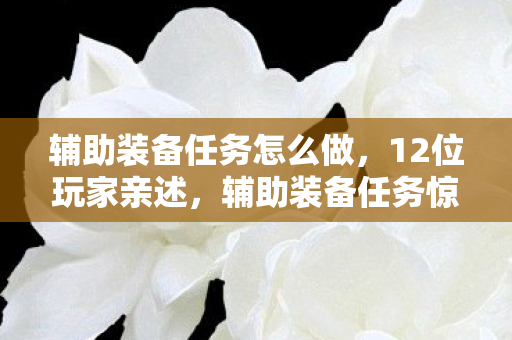 辅助装备任务惊现离谱设定图片