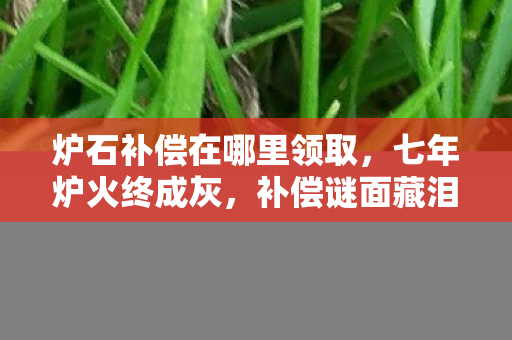 炉石补偿在哪里领取图片