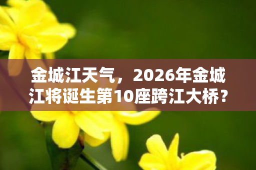 2026年金城江将诞生第10座跨江大桥图片