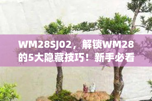 解锁WM28的5大隐藏技巧图片