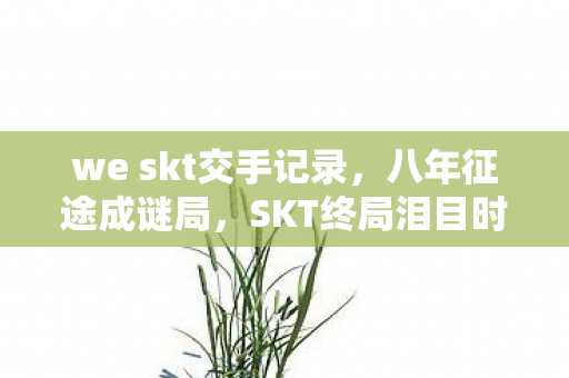 we skt交手记录图片
