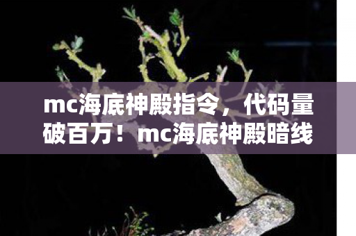 mc海底神殿暗线惊现图片