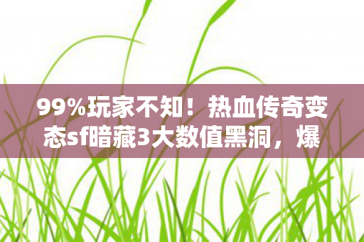 热血传奇变态sf暗藏3大数值黑洞图片