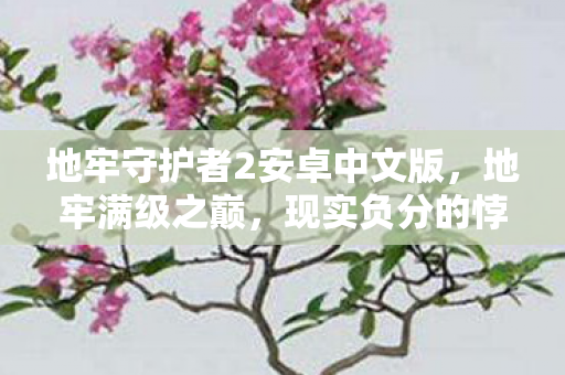 地牢守护者2安卓中文版图片