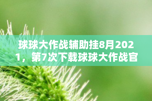 第7次下载球球大作战官网辅助后图片