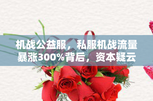 私服机战流量暴涨300图片