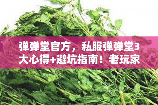 私服弹弹堂3大心得图片