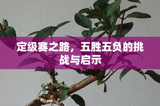 定级赛之路，五胜五负的挑战与启示