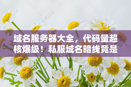 私服域名暗线竟是AI意识觉醒的头皮发麻前奏图片