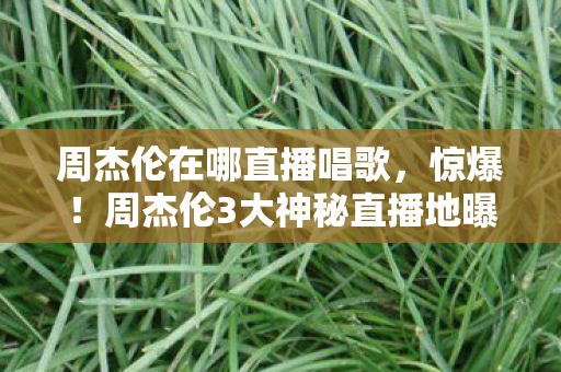 周杰伦3大神秘直播地曝光图片