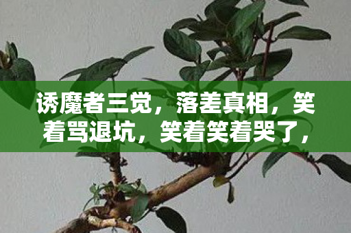 终究还是离不开诱魔者图片