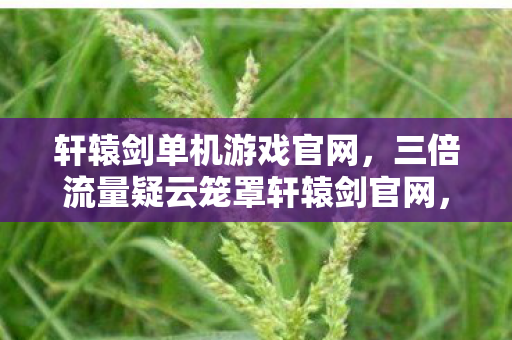 三倍流量疑云笼罩轩辕剑官网图片