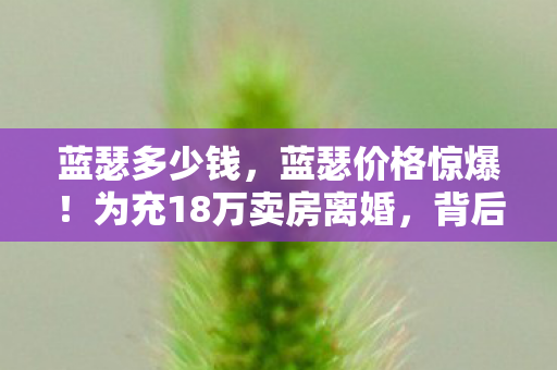 为充18万卖房离婚图片