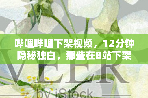 那些在B站下架前哽咽着通关的夜晚图片