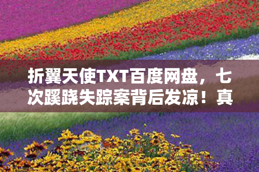 折翼天使TXT百度网盘,七次蹊跷失踪案背后发凉!真相竟藏在这破碎时间线里 折翼天使TXT百度网盘,七次蹊跷失踪案背后发凉!真相竟藏在这破碎时间线里