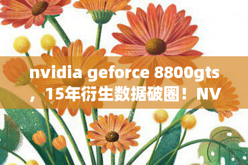 NVIDIA 8800GT如何从显卡变潮流符号图片