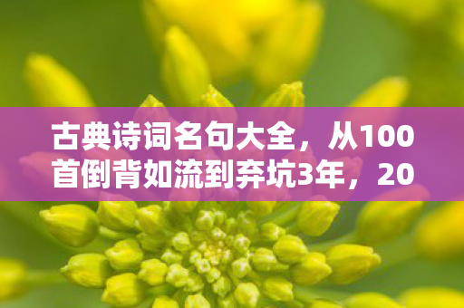 古典诗词名句大全,从100首倒背如流到弃坑3年,2027年我为何被一句诗拽回坑底? 古典诗词名句大全,从100首倒背如流到弃坑3年,2027年我为何被一句诗拽回坑底?