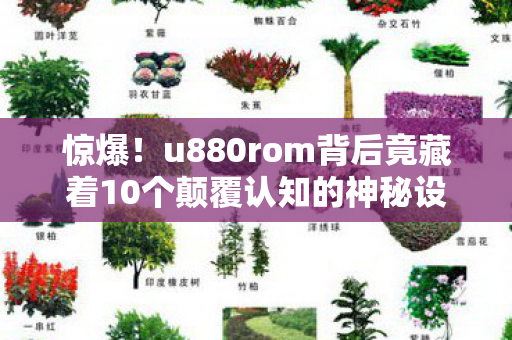 u880rom背后竟藏着10个颠覆认知的神秘设计图片