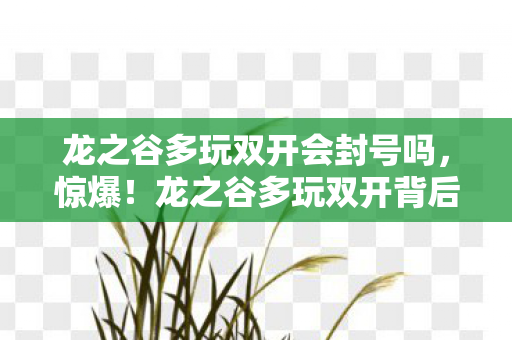 龙之谷多玩双开背后藏500万隐情图片