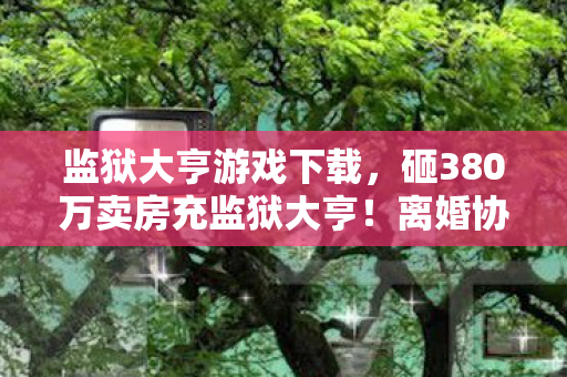 砸380万卖房充监狱大亨图片