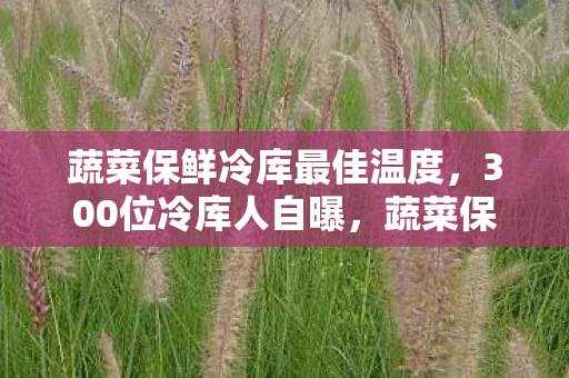 蔬菜保鲜冷库最佳温度图片
