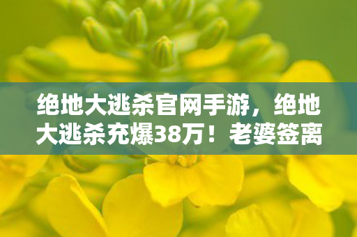 我翻到账本手抖到点不开游戏图片