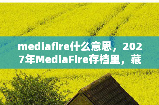 2027年MediaFire存档里图片