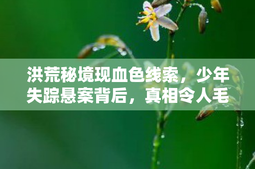 洪荒秘境现血色线索图片