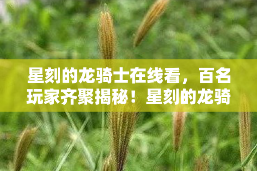 星刻的龙骑士疑点重重图片