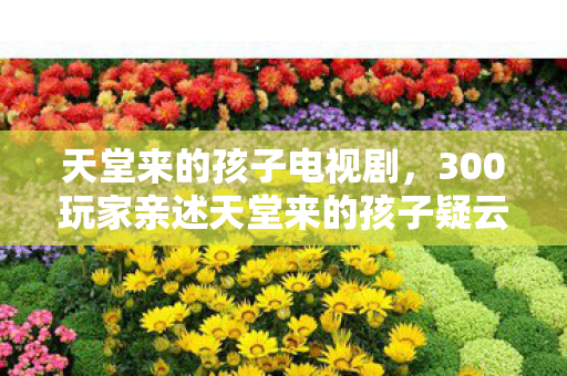 300玩家亲述天堂来的孩子疑云图片