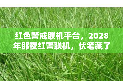 2028年那夜红警联机图片