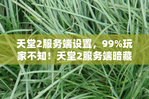天堂2服务端暗藏3大逆天机制图片