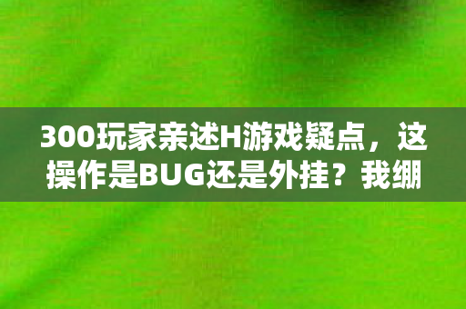 300玩家亲述H游戏疑点图片