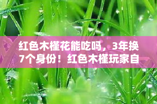 那些被游戏抛弃的夜晚图片