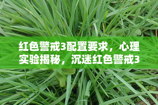 红色警戒3配置要求图片