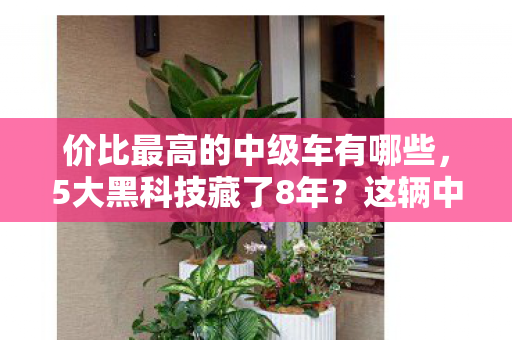 这辆中级车竟藏着颠覆认知的价格屠夫密码图片